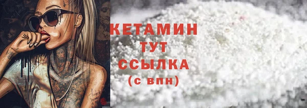 крисы Богородицк