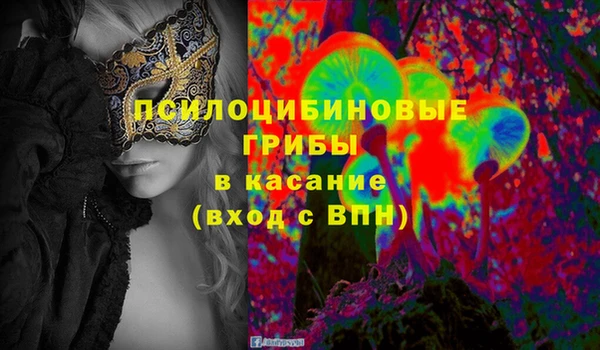 крисы Богородицк