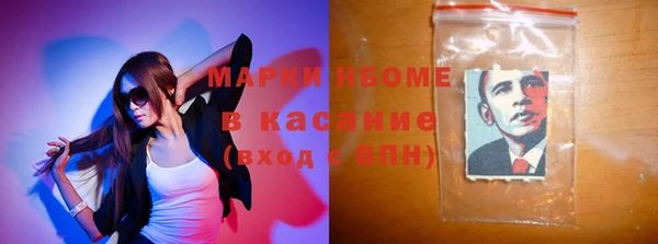 стаф Богородск