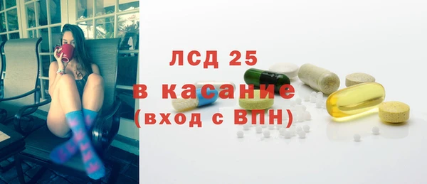 крисы Богородицк