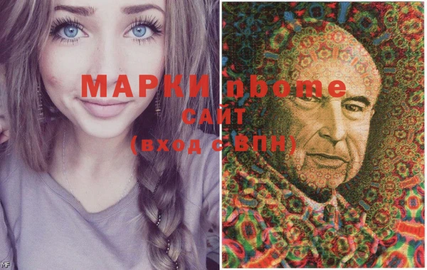 крисы Богородицк