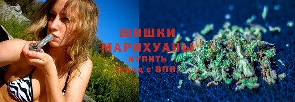 крисы Богородицк