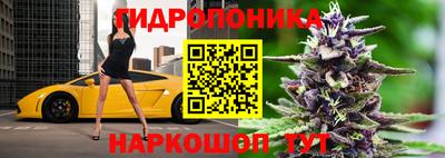 дмт Будённовск