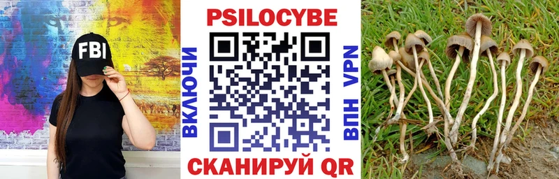 Псилоцибиновые грибы MAGIC MUSHROOMS  Малоярославец 