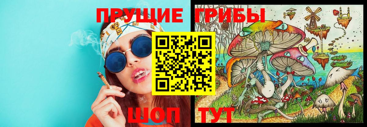 Малоярославец  Галлюциногенные грибы прущие грибы  Вход с VPN  Псилоцибиновые грибы мухоморы 